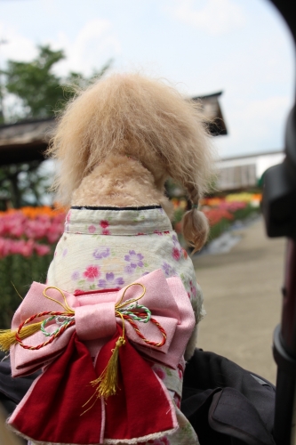 玉水ゆり園