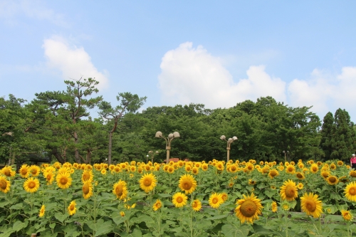 鶴見緑地