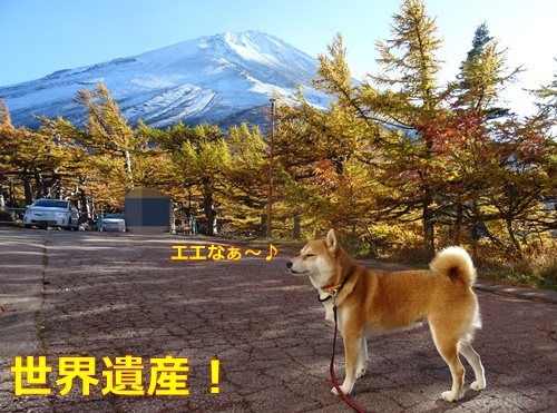 1ヤッパリ富士山