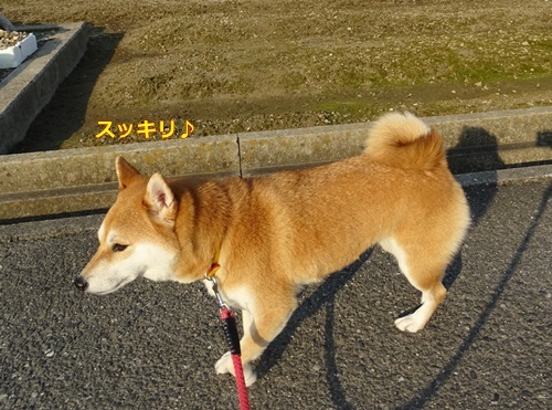 6気持ちイイ