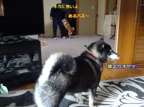 5ナツの狙い