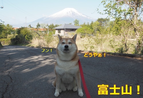 1富士山