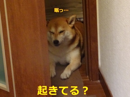 1眠い