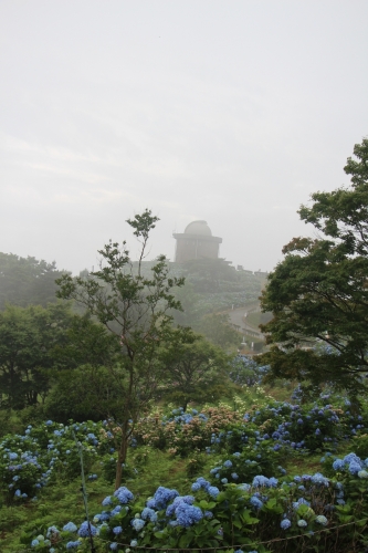 大野アルプスランドあじさいまつり