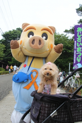 大野アルプスランドあじさいまつり