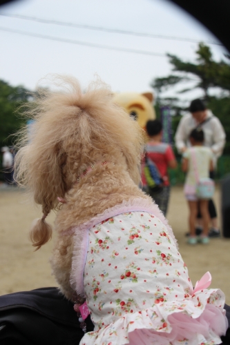 大野アルプスランドあじさいまつり