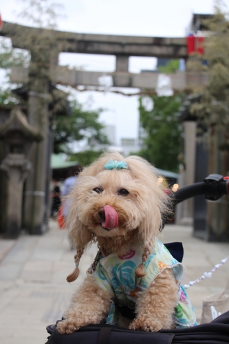 天神祭2017