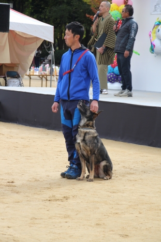 動物愛護フェスティバル2017