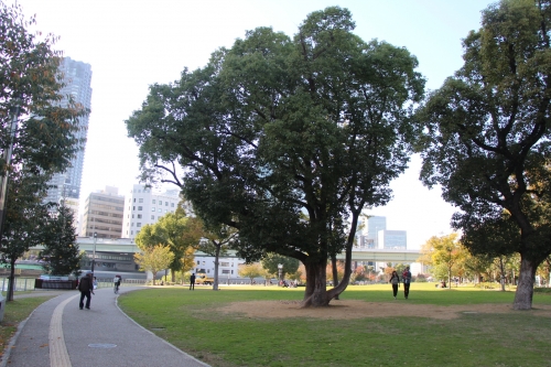 中之島公園