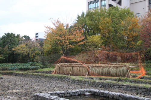 お出掛け大阪