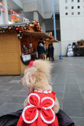 ドイツ・クリスマスマーケット