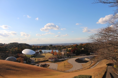 鞍ケ池公園