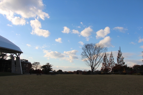 鞍ケ池公園