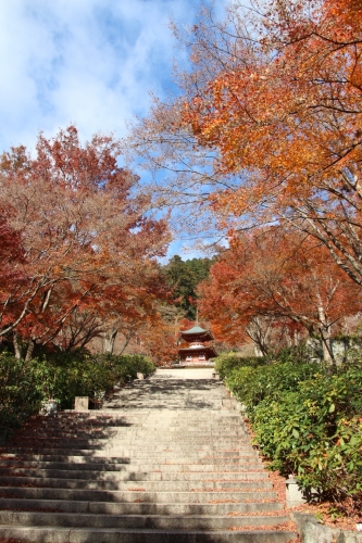 勝尾寺