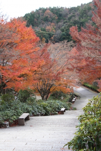 勝尾寺