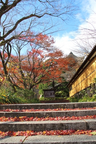 勝尾寺