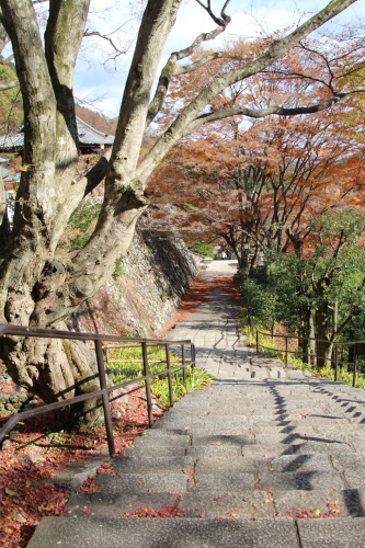 勝尾寺