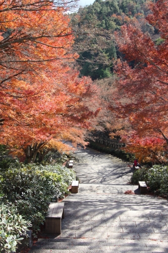 勝尾寺