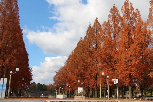 鶴見緑地