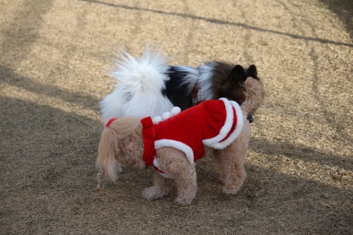 枚方市東部公園