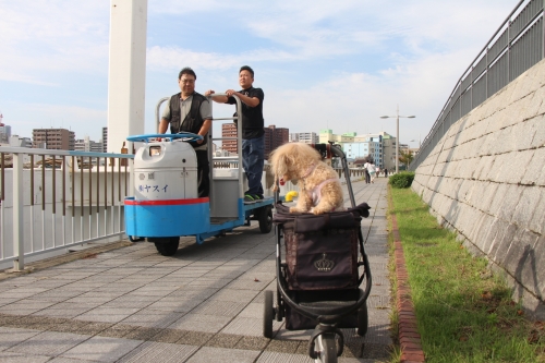 ざこばの朝市