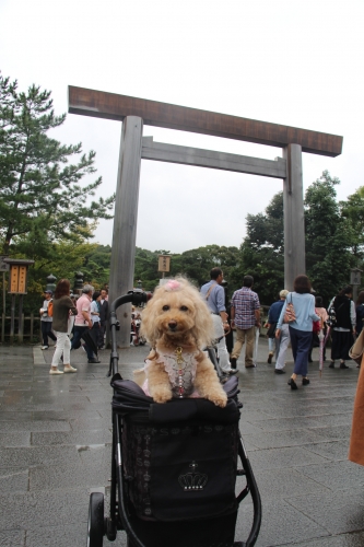 おかげ横丁