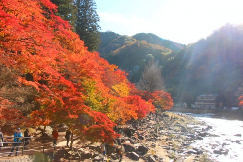 香嵐渓