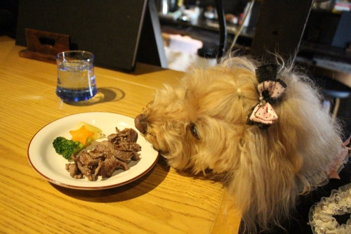 Bistro Cafe +Dog Rencontre