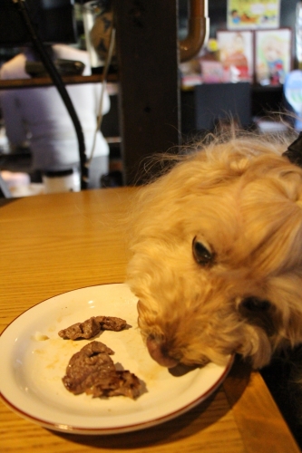 Bistro Cafe +Dog Rencontre