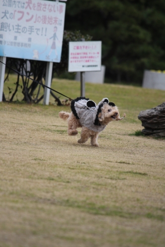 舞子公園