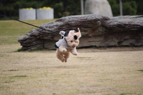 舞子公園