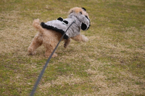 舞子公園