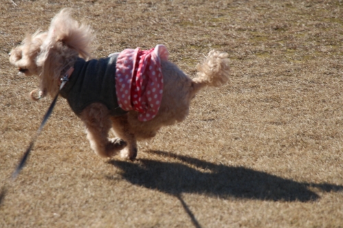 石人の星公園