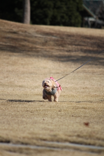 石人の星公園