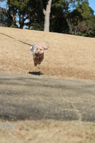 石人の星公園