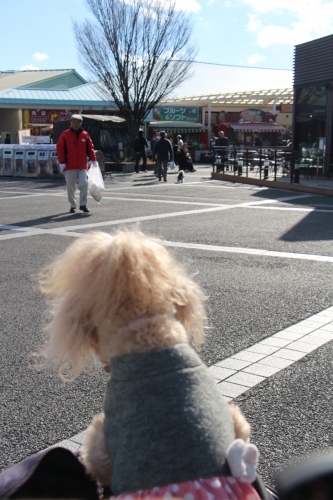 お出掛け静岡