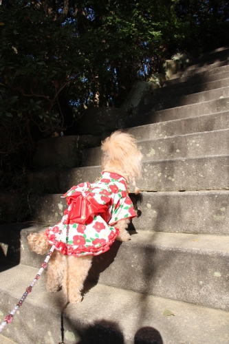 おのころ島神社