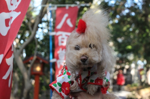 おのころ島神社