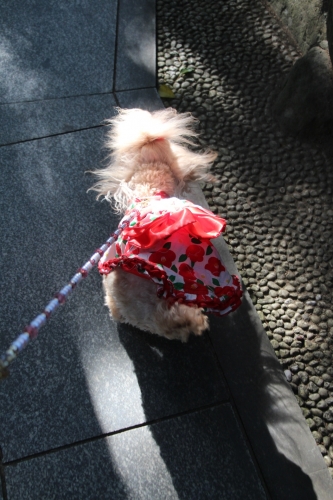 おのころ島神社