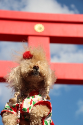 おのころ島神社