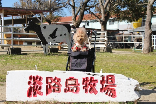 淡路島牧場