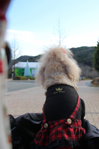 兵庫県立淡路島公園