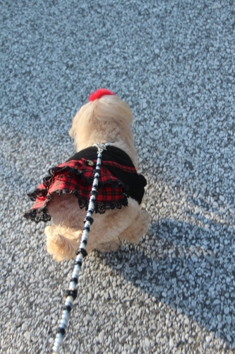 兵庫県立淡路島公園