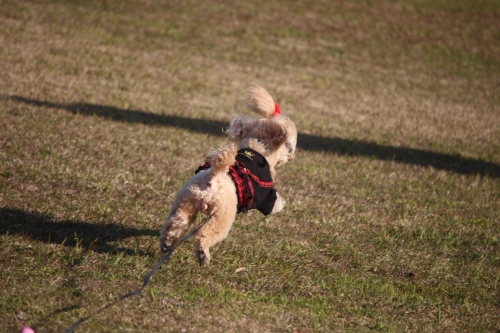 兵庫県立淡路島公園