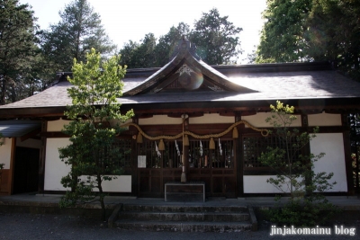 細萱洲波神社(安曇野市豊科南穂高西浦）19