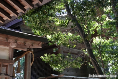 細萱洲波神社(安曇野市豊科南穂高西浦）21