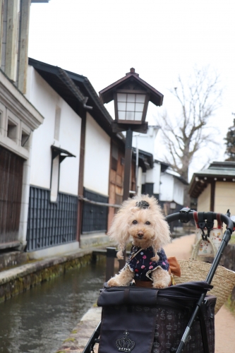 飛騨古川