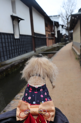 飛騨古川