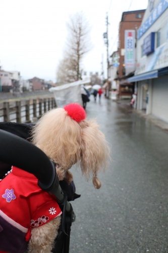 宮川朝市