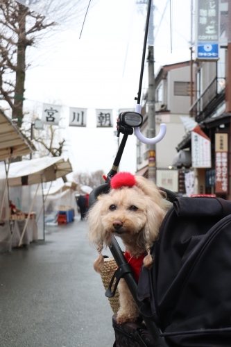 宮川朝市